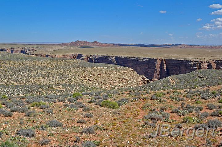 DSC_7611.JPG - Arizona