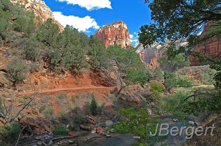 DSC_7725.JPG - Zion Nationalpark