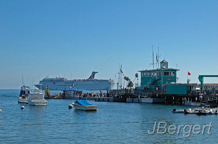 DSC_7923.JPG - Catalina Island