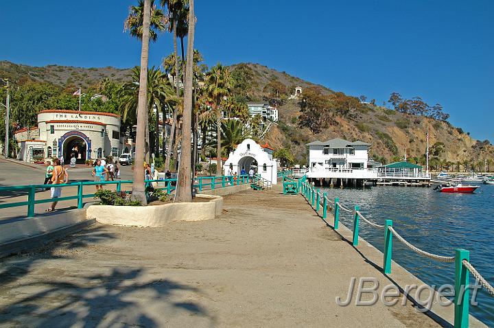 DSC_7938.JPG - Catalina Island