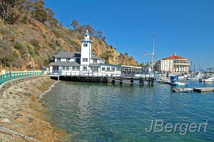 DSC_7942.JPG - Catalina Island